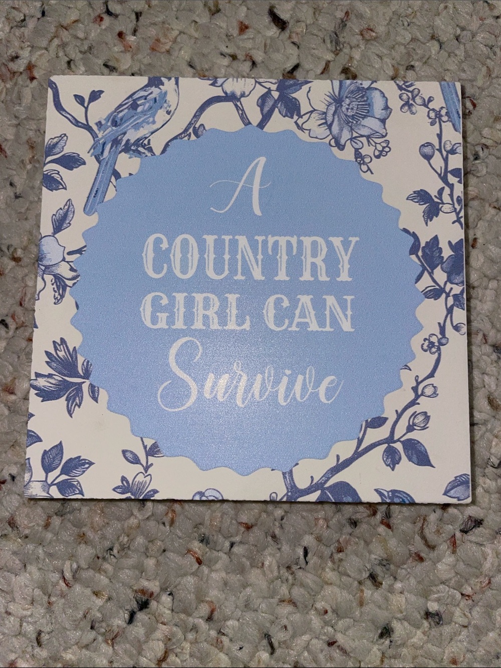 A Country Girl Can Survive Decorative Wall Plaque